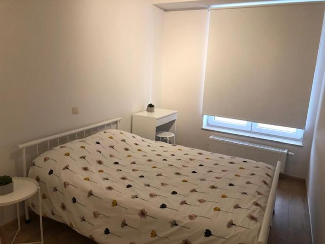 Vakantie Appartement Allure, Met Zuidgericht Tuintje ออสเทนด์ ภายนอก รูปภาพ